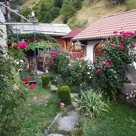 Rosenovi Lyaskovo (Smolyan)