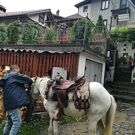 ゲストハウス Rosenovi