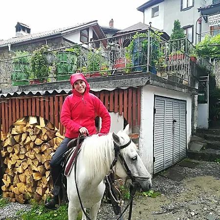 Πανσιόν Rosenovi Lyaskovo (Smolyan)