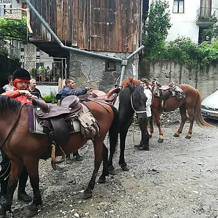 Rosenovi Πανσιόν 3*