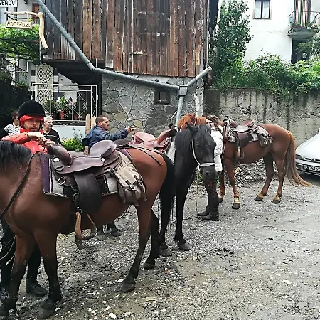 Rosenovi Pensjonat *