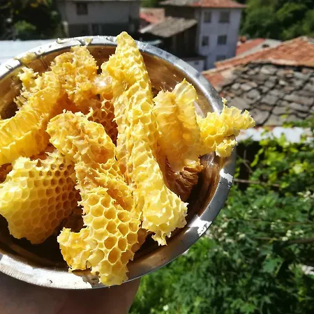 Πανσιόν Rosenovi 3*