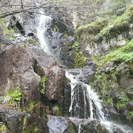Vendégház Rosenovi 3*