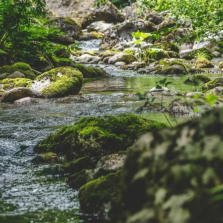 Rosenovi Lyaskovo (Smolyan)