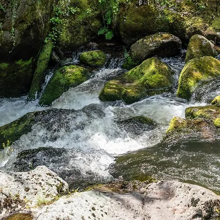 Rosenovi Pensjonat Lyaskovo (Smolyan)