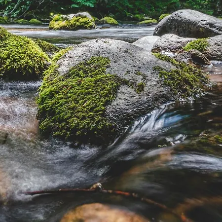 Rosenovi Pensjonat Lyaskovo (Smolyan)